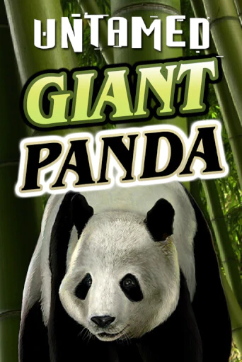 Слот Untamed - Giant Panda в демо-режиме от Microgaming в Champion Slots Casino