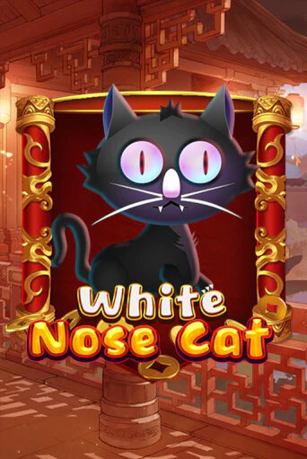 Слот White Nose Cat в демо-режиме от KA Gaming в Champion Slots Casino