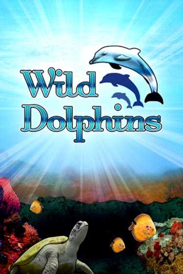 Слот Wild Dolphins в демо-режиме от Bragg в Champion Slots Casino