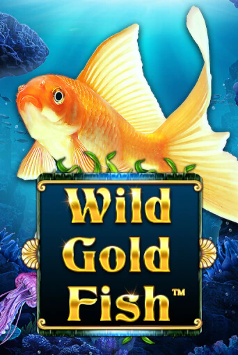 Слот Wild Gold Fish в демо-режиме от Spinomenal в Champion Slots Casino