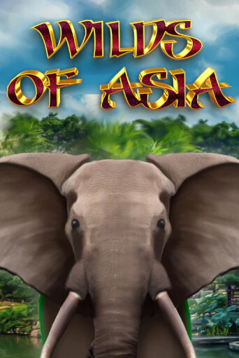 Слот Wilds of Asia в демо-режиме от 5 Men Gaming в Champion Slots Casino